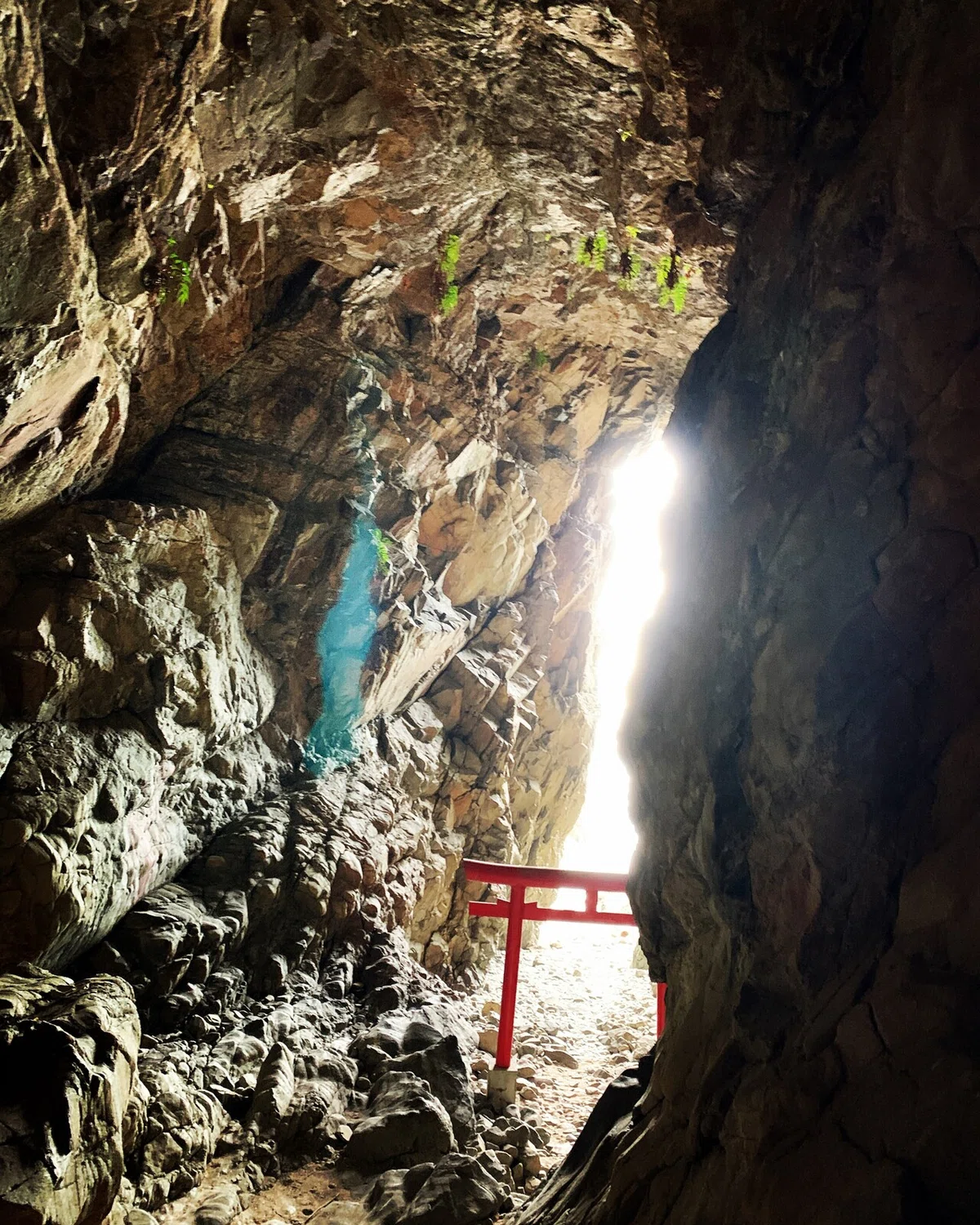 画像6