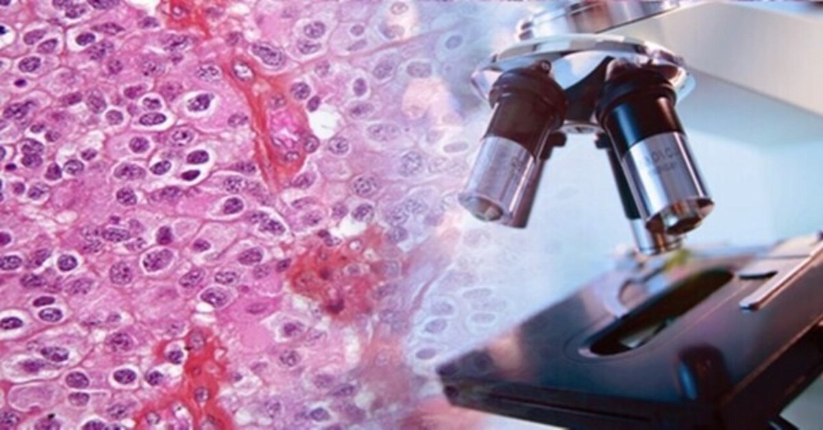 Histology（組織学）～海外医学部を6年で卒業～ （公益社団法人