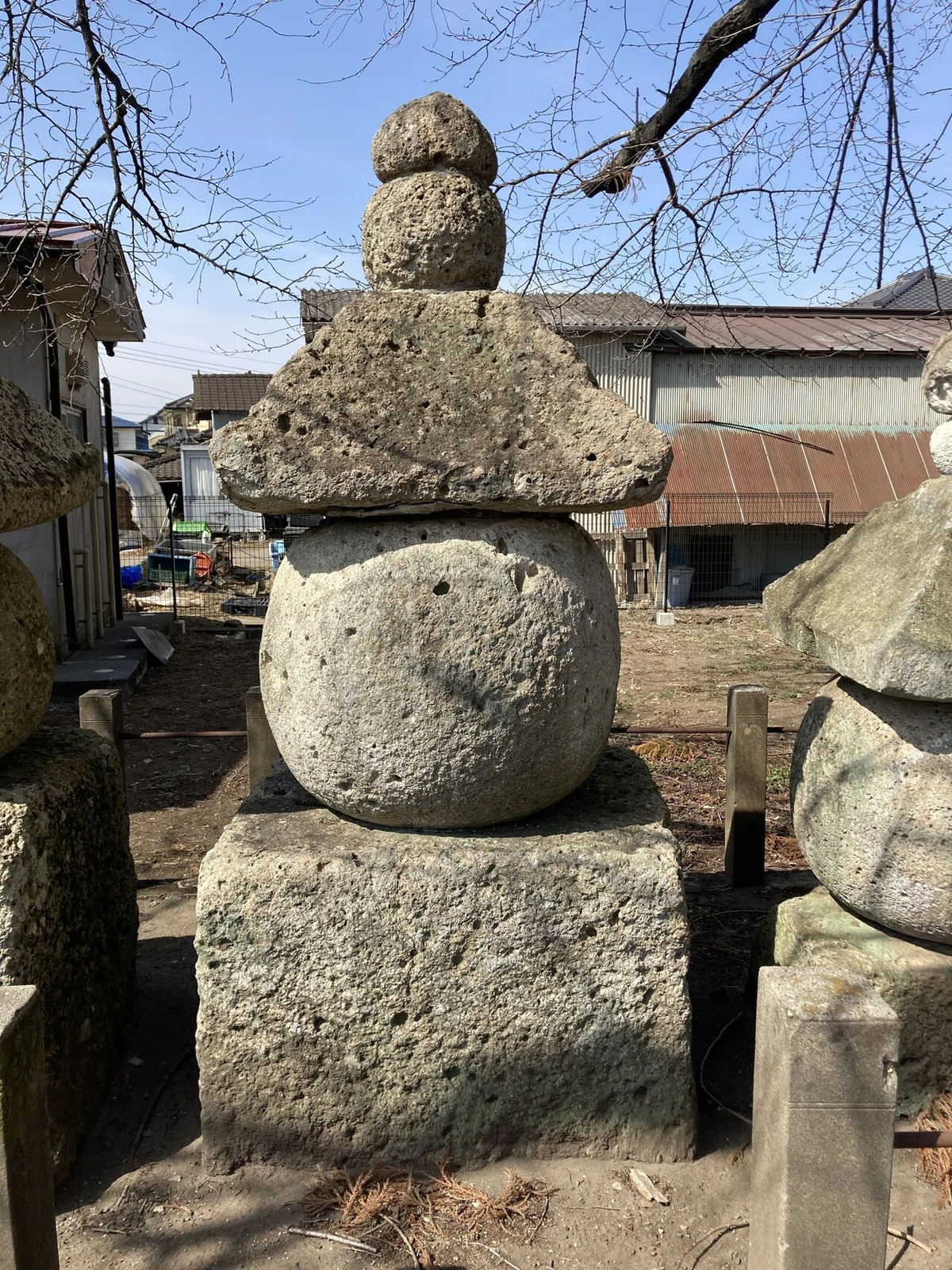 画像8
