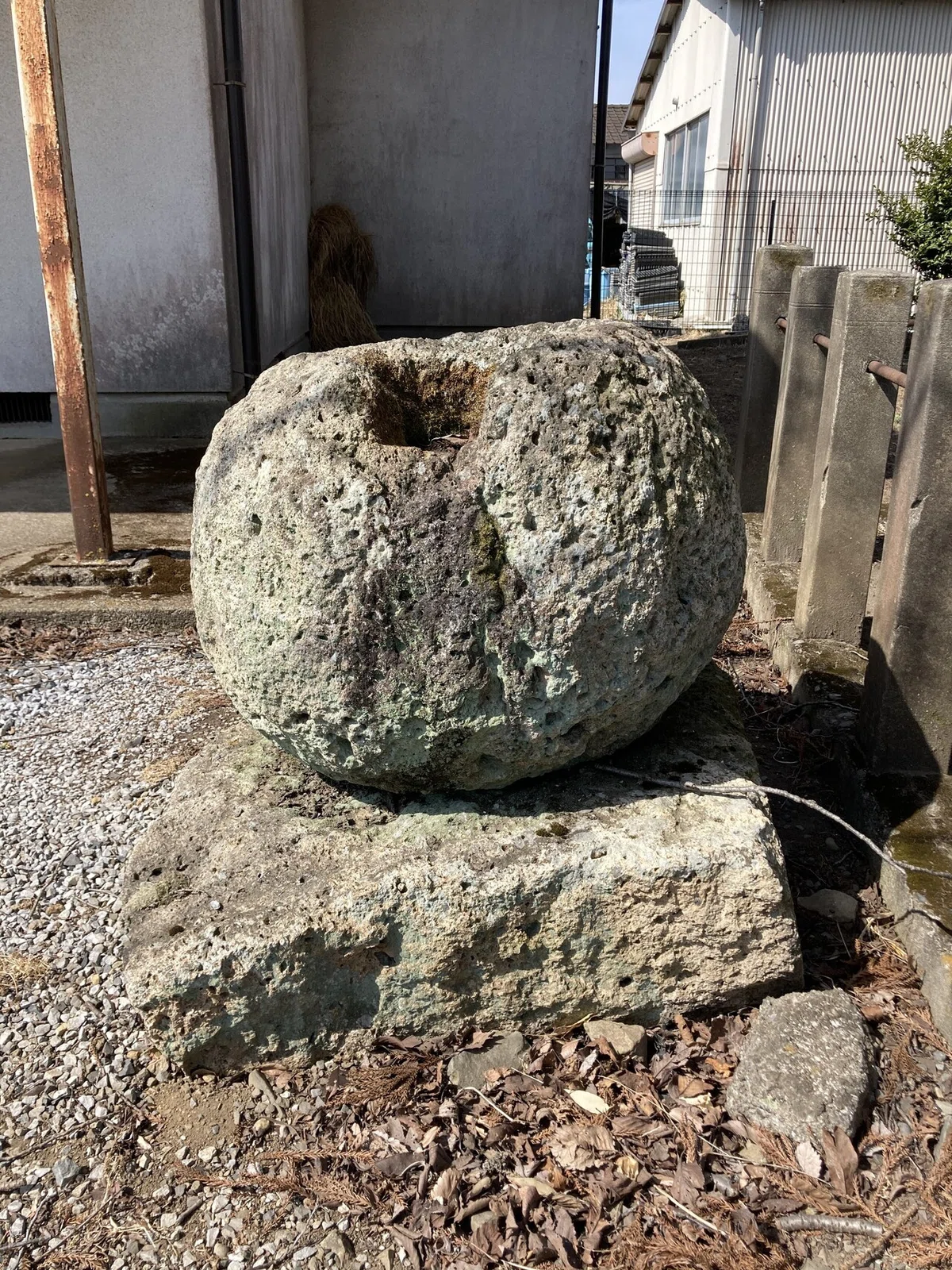 画像8