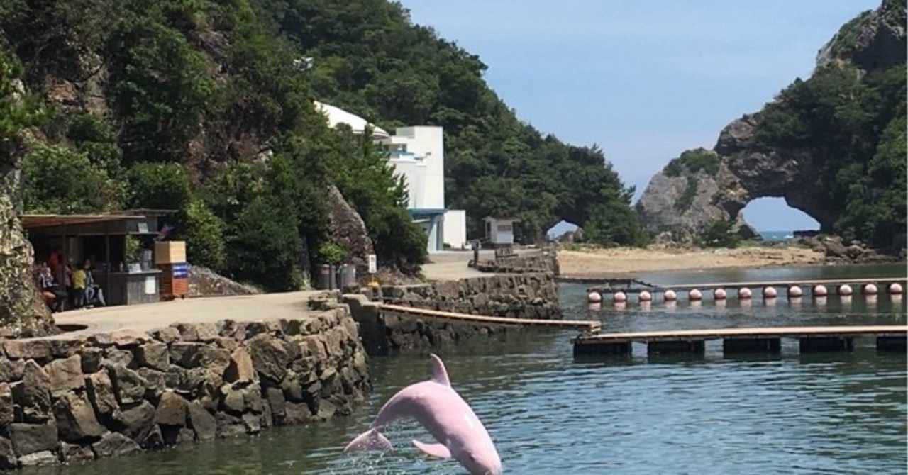 ピンクの鯨 の新着タグ記事一覧 Note つくる つながる とどける