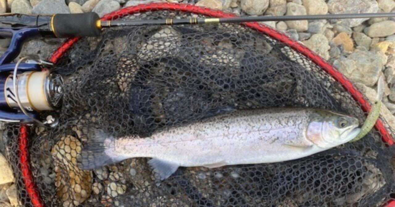 近くの、エリアトラウト釣り場にニジマスを釣りに行ってみた！ 1年