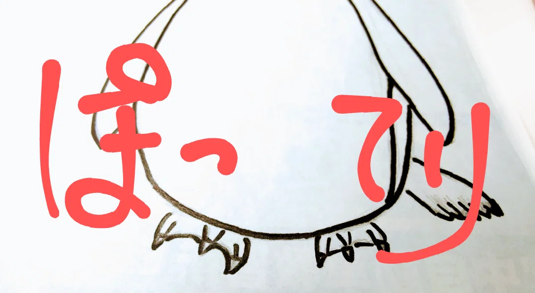 画像30