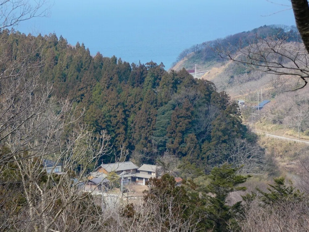 画像8