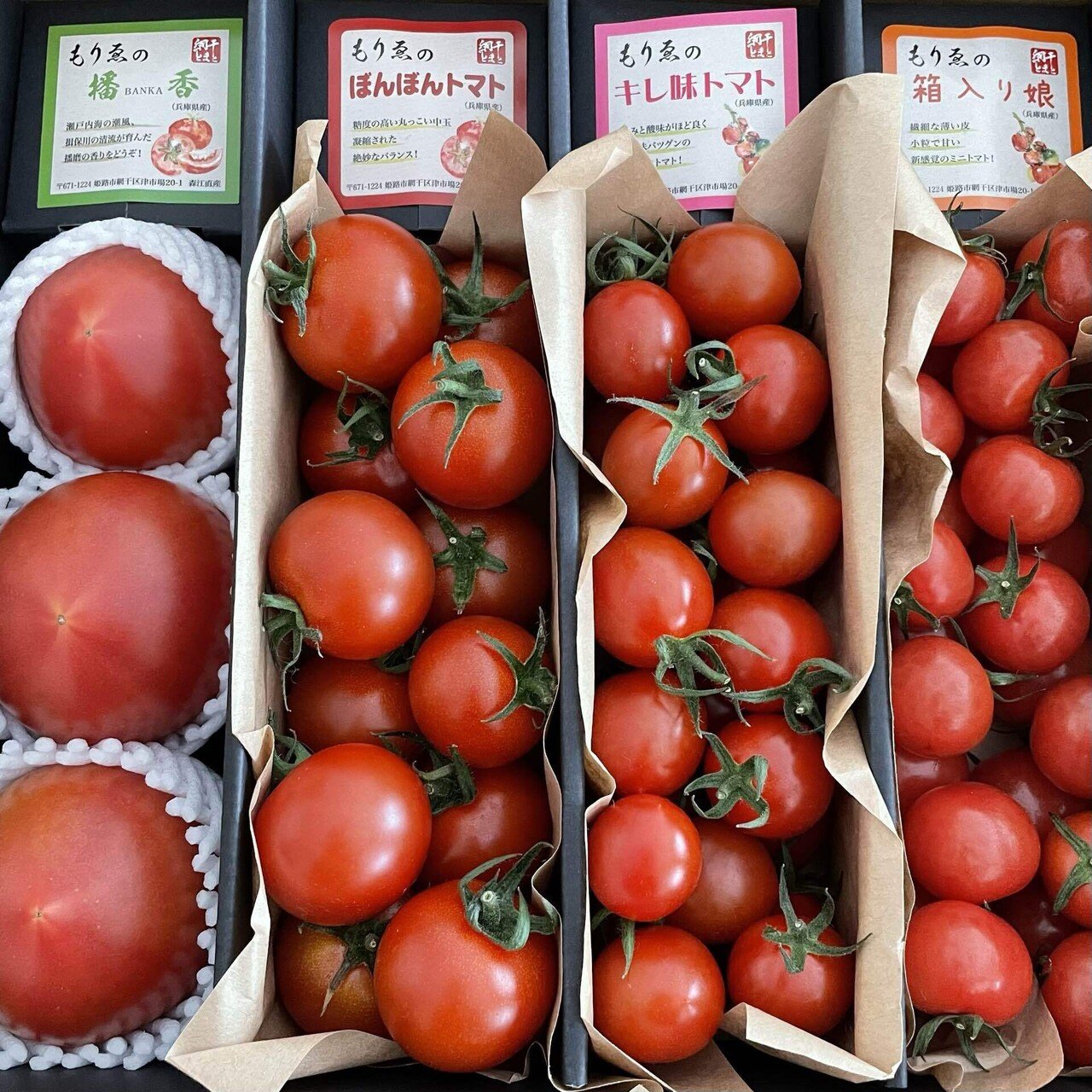 トマト紹介】もりゑさんのトマトセット｜トマトコンシェルジュYumi