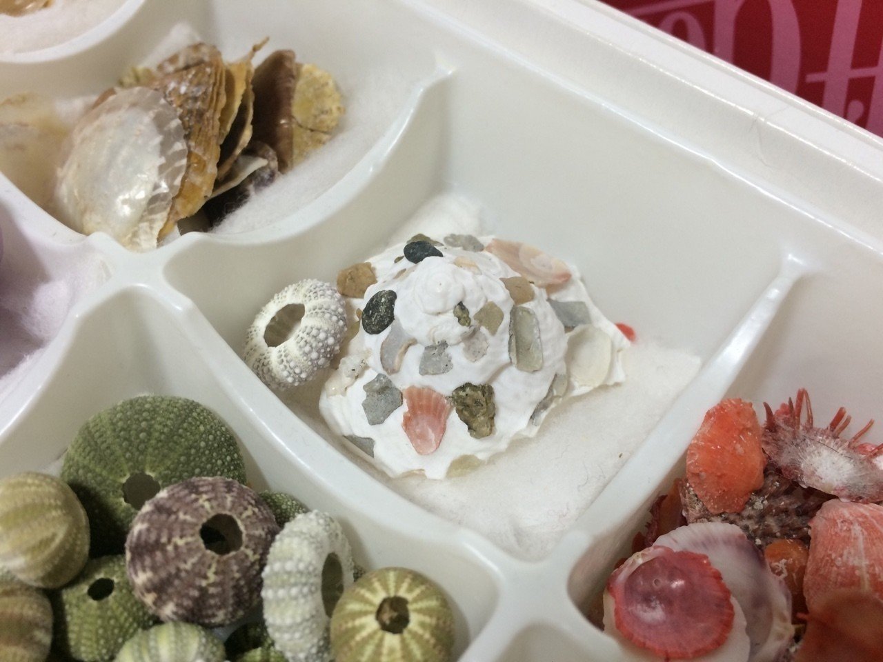 上五島の岩崎邸の様子｜kimakimakakao