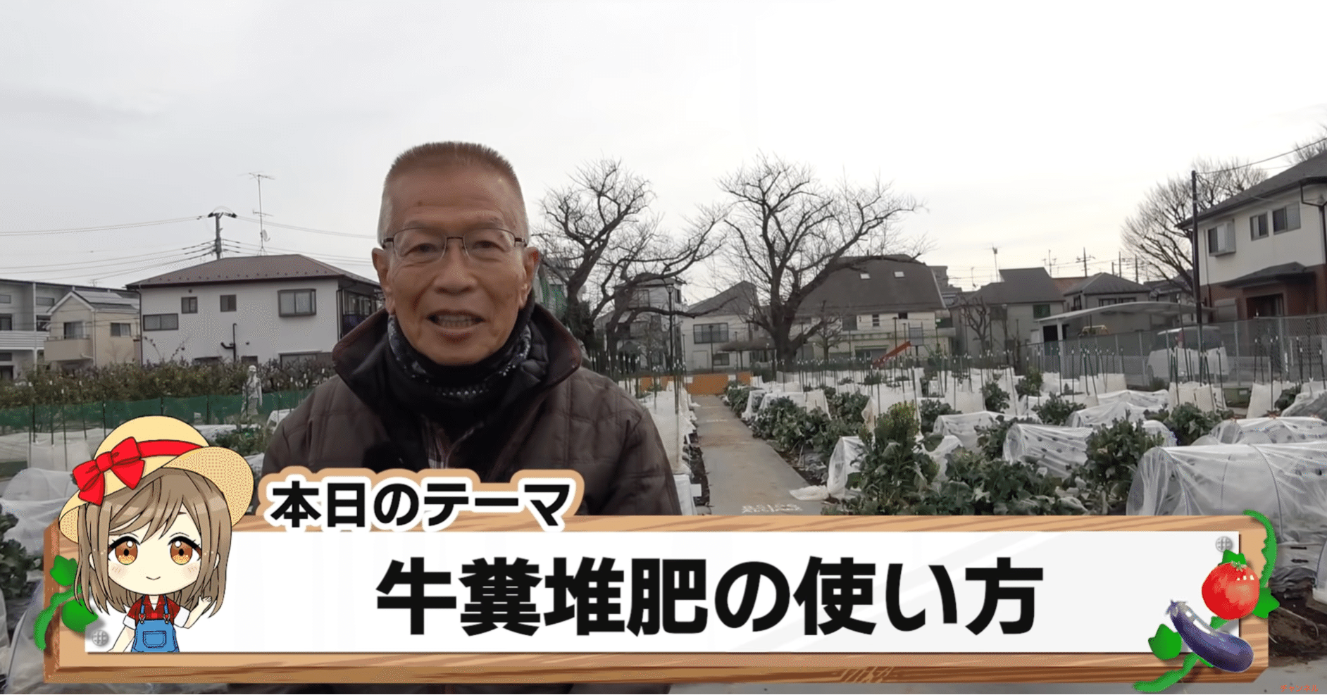 牛糞 牛糞堆肥ってどんな肥料 家庭菜園や農園で堆肥基本の使い方 牛糞堆肥の効果や考え方 適した野菜などを徹底解説 井上寅雄農園 井上隆太朗 Note