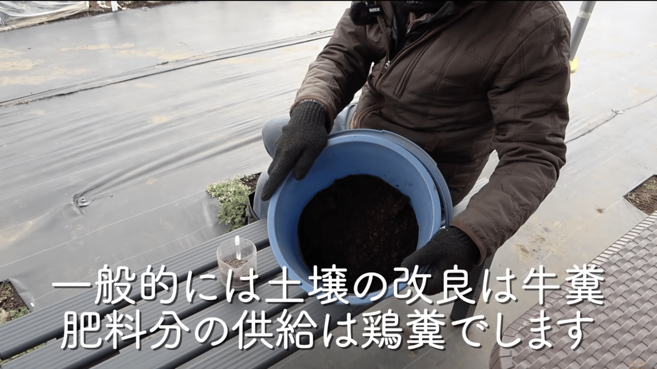 牛糞 牛糞堆肥ってどんな肥料 家庭菜園や農園で堆肥基本の使い方 牛糞堆肥の効果や考え方 適した野菜などを徹底解説 井上寅雄農園 井上隆太朗 Note