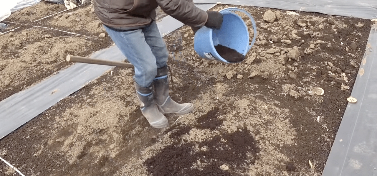 牛糞 牛糞堆肥ってどんな肥料 家庭菜園や農園で堆肥基本の使い方 牛糞堆肥の効果や考え方 適した野菜などを徹底解説 井上寅雄農園 井上隆太朗 Note 牛糞 牛糞堆肥ってどんな肥料 家庭菜園や農園で堆肥基本の使い方 牛糞堆肥の効果や考え方 適した野菜などを徹底解説 井上寅雄農園 井上隆太朗 Note