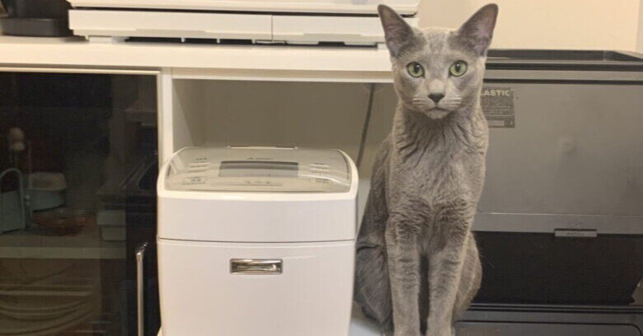 猫が好きなら炊飯器は絶対に蒸気レスを買うべき理由 猫田まど Note