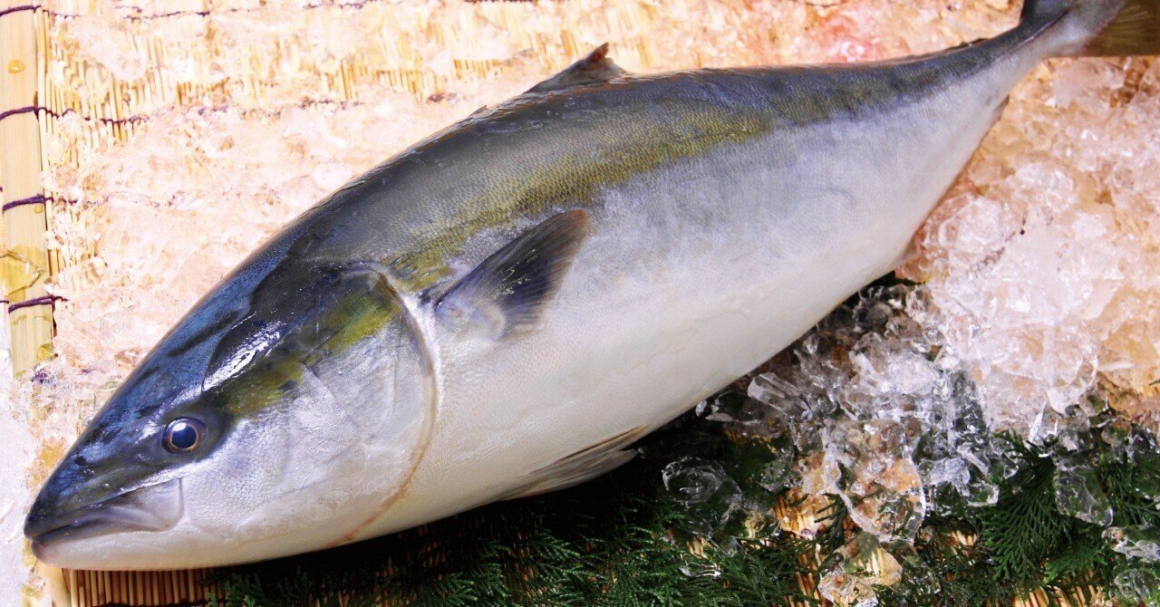 2021年鹿児島産養殖ブリの浜値 みなと新聞 Note 2021年鹿児島産養殖ブリの浜値 みなと新聞 Note