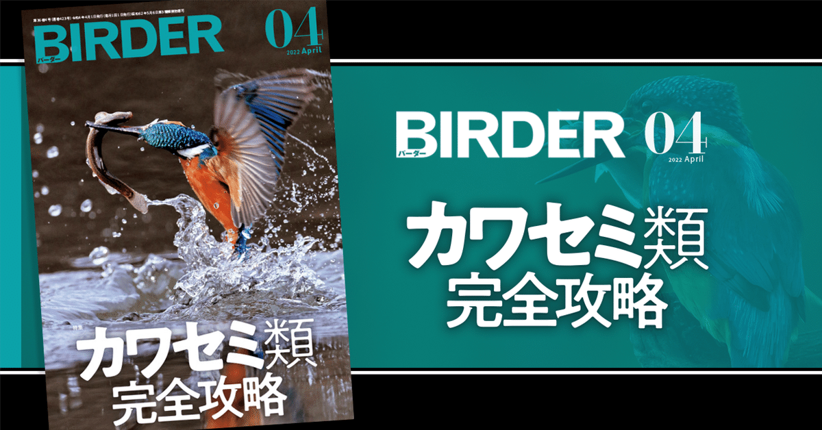 BIRDER5月号の見どころ｜ブンイチ（文一総合出版）