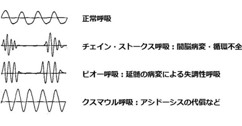 獣医麻酔 集中治療学の22年3月のノート Note