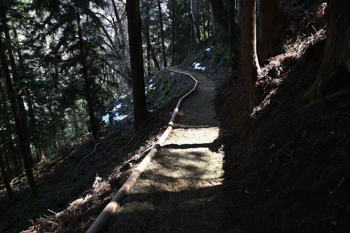 画像14
