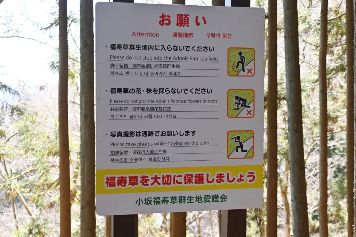 画像15