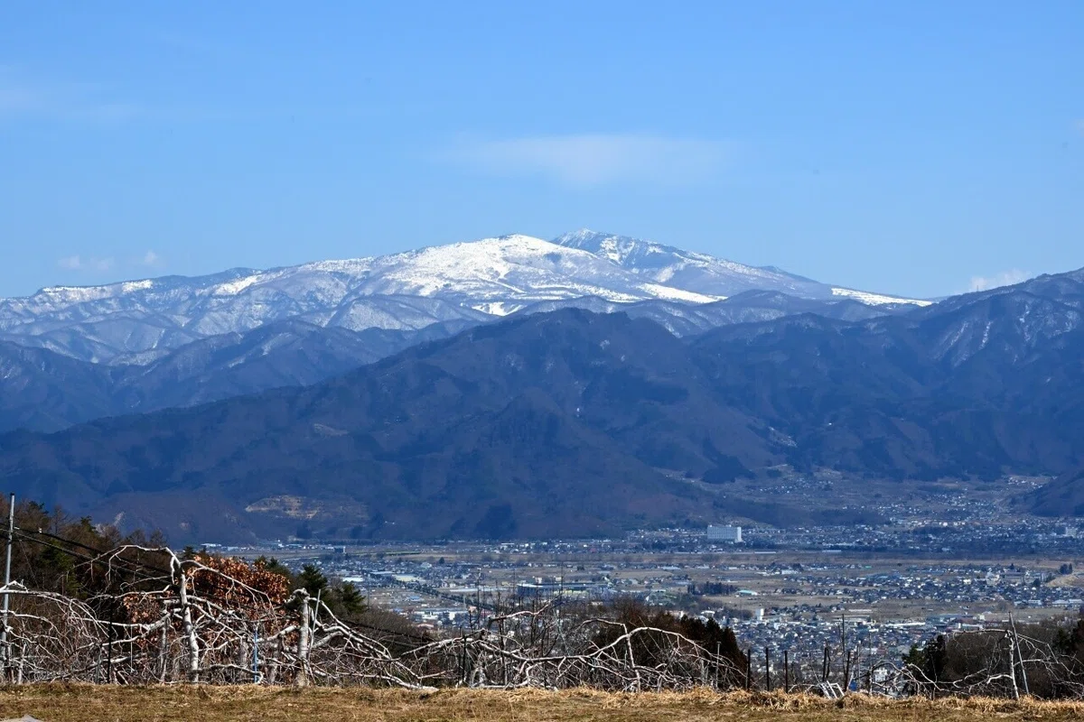 画像30