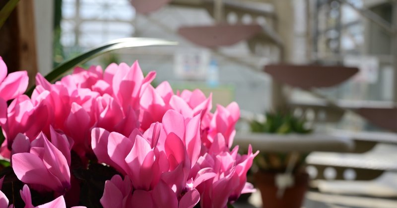 東海撮影スポット の新着タグ記事一覧 Note つくる つながる とどける