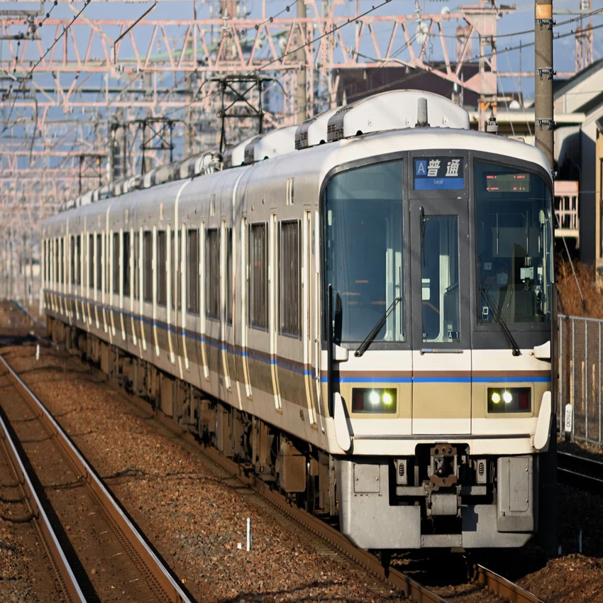 レンズレビュー】Ai-S Nikkor 80-200mm F4｜鷺