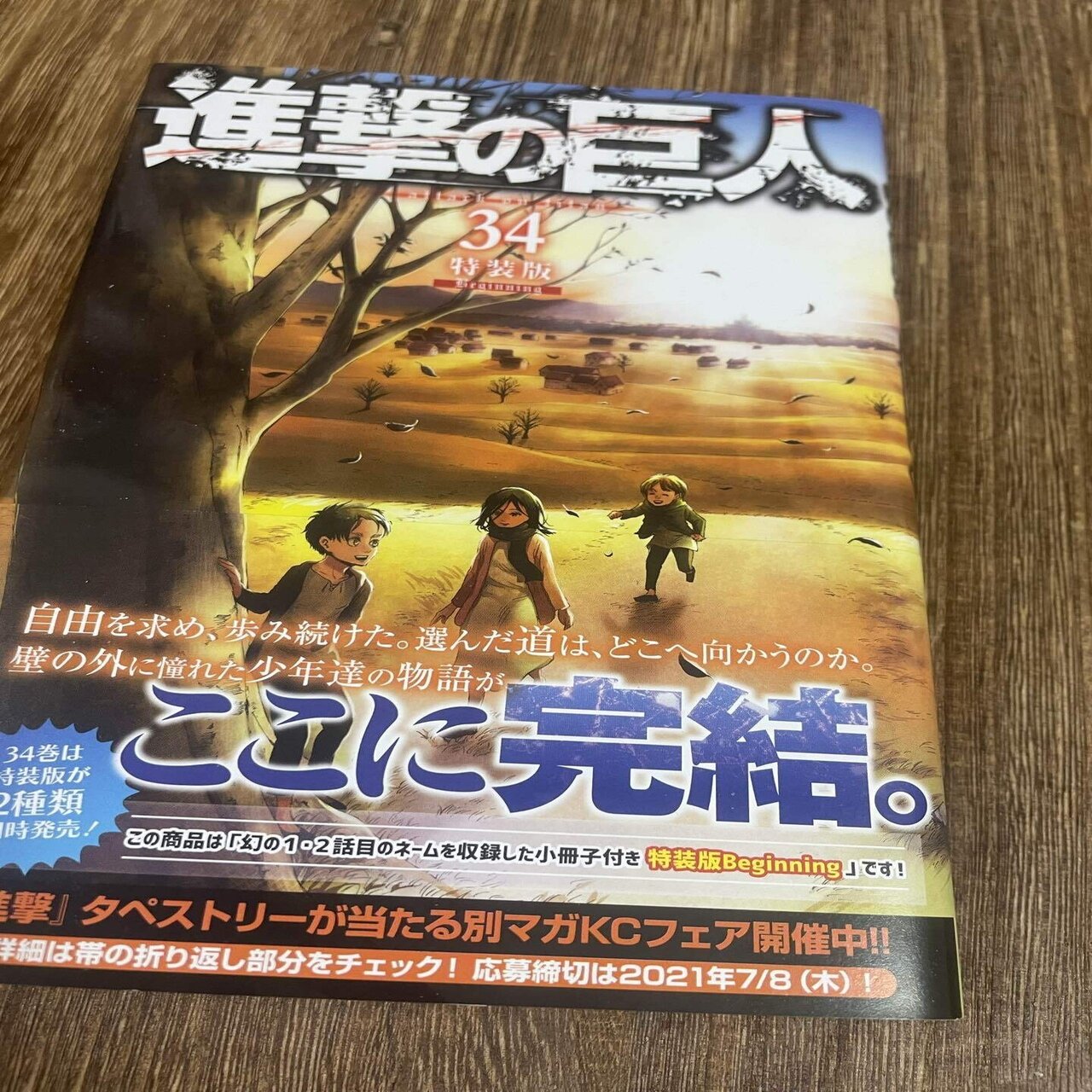 フランスの進撃オタクmarcoへ 最終話加筆をめぐる考察 Mai Chan Note