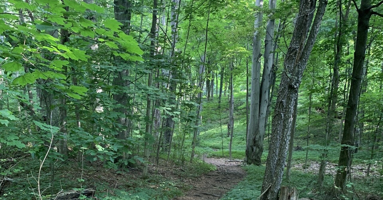 Balancer v2 Poolを使ったフルオンチェーンボットの作り方 (失敗)｜richmanbtc｜note