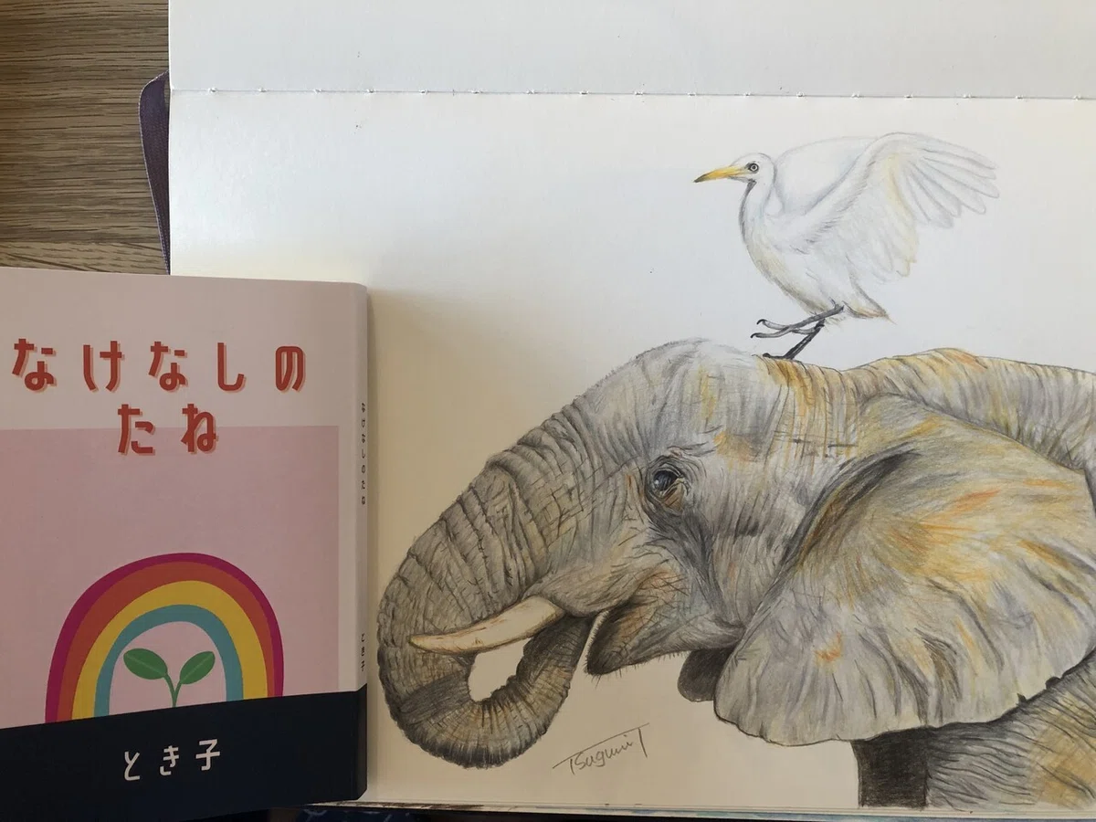 画像4