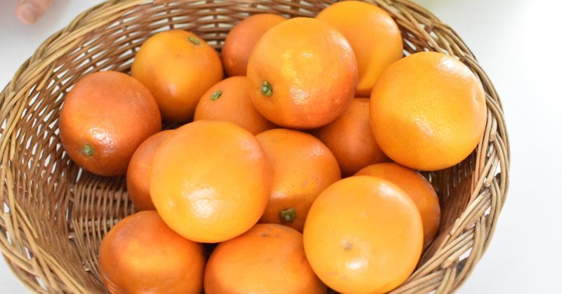柑橘が食べたい！！！