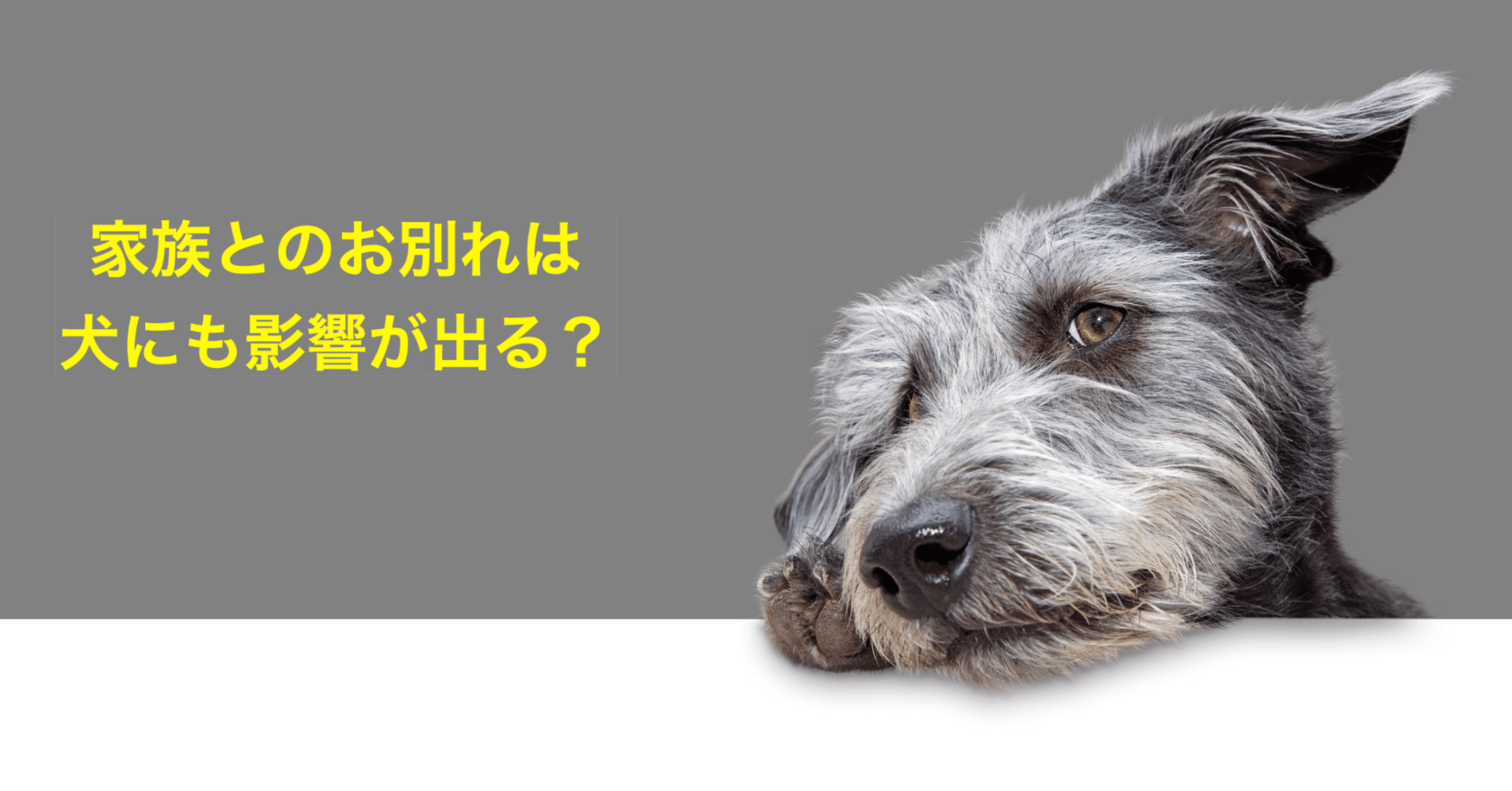 家族のお別れは犬だって悲しみ 落ち込む げーしー Note