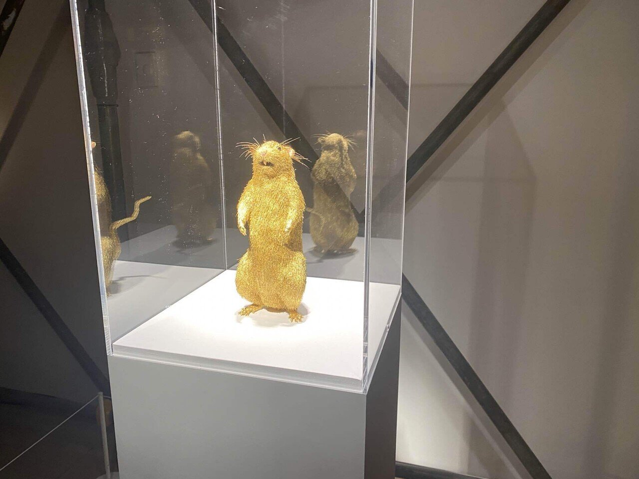 Chim↑Pomの展覧会がマジでやばかった｜「美術館」の概念を