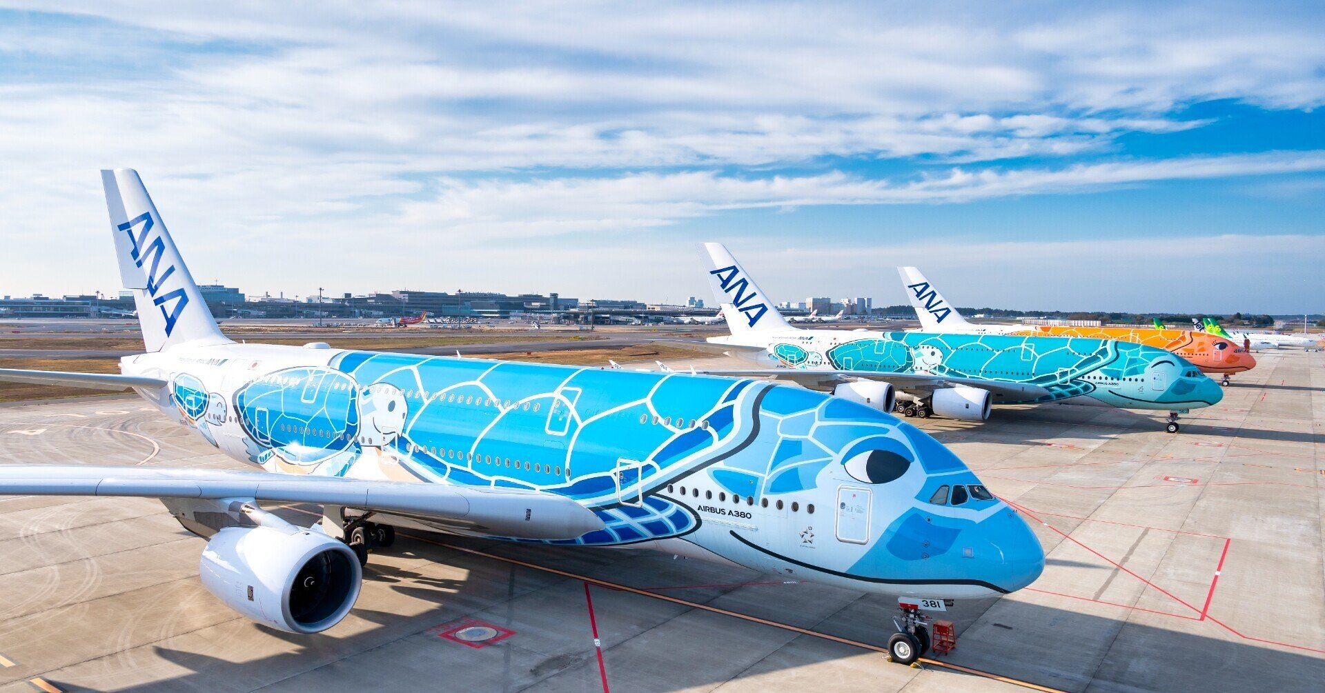 Amazon.co.jp: ANA FLYING HONUマグネット フライングホヌ 1号機