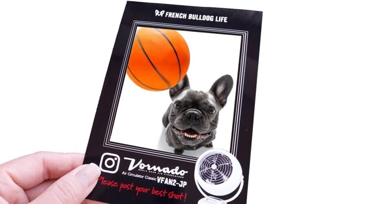 2024年フレブルLiveチケット FRENCH BULLDOG LIVE 2024 チケット