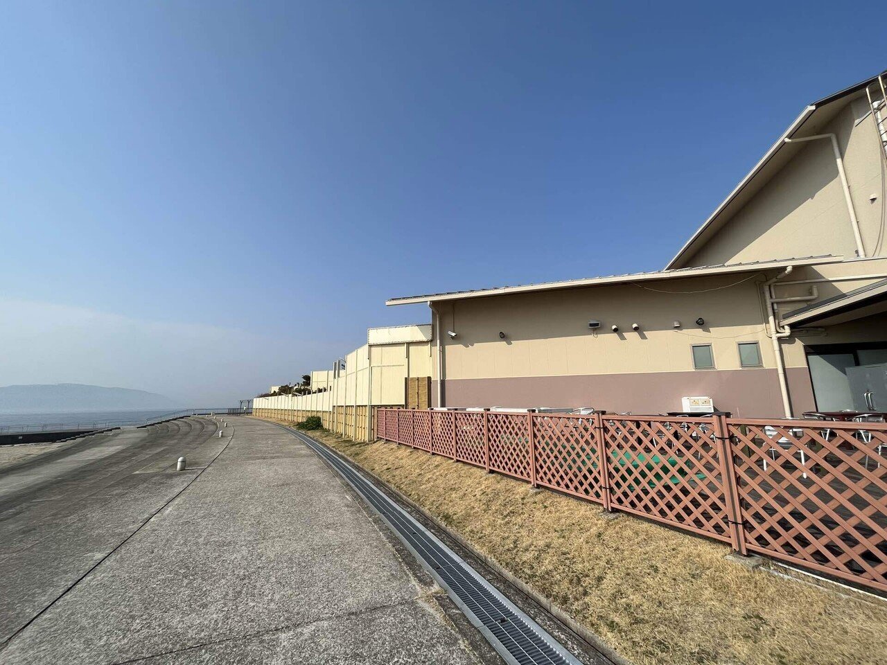 裸の王国は、あの壁の向こう側だ！📷｜まるまるの虫 カメさん