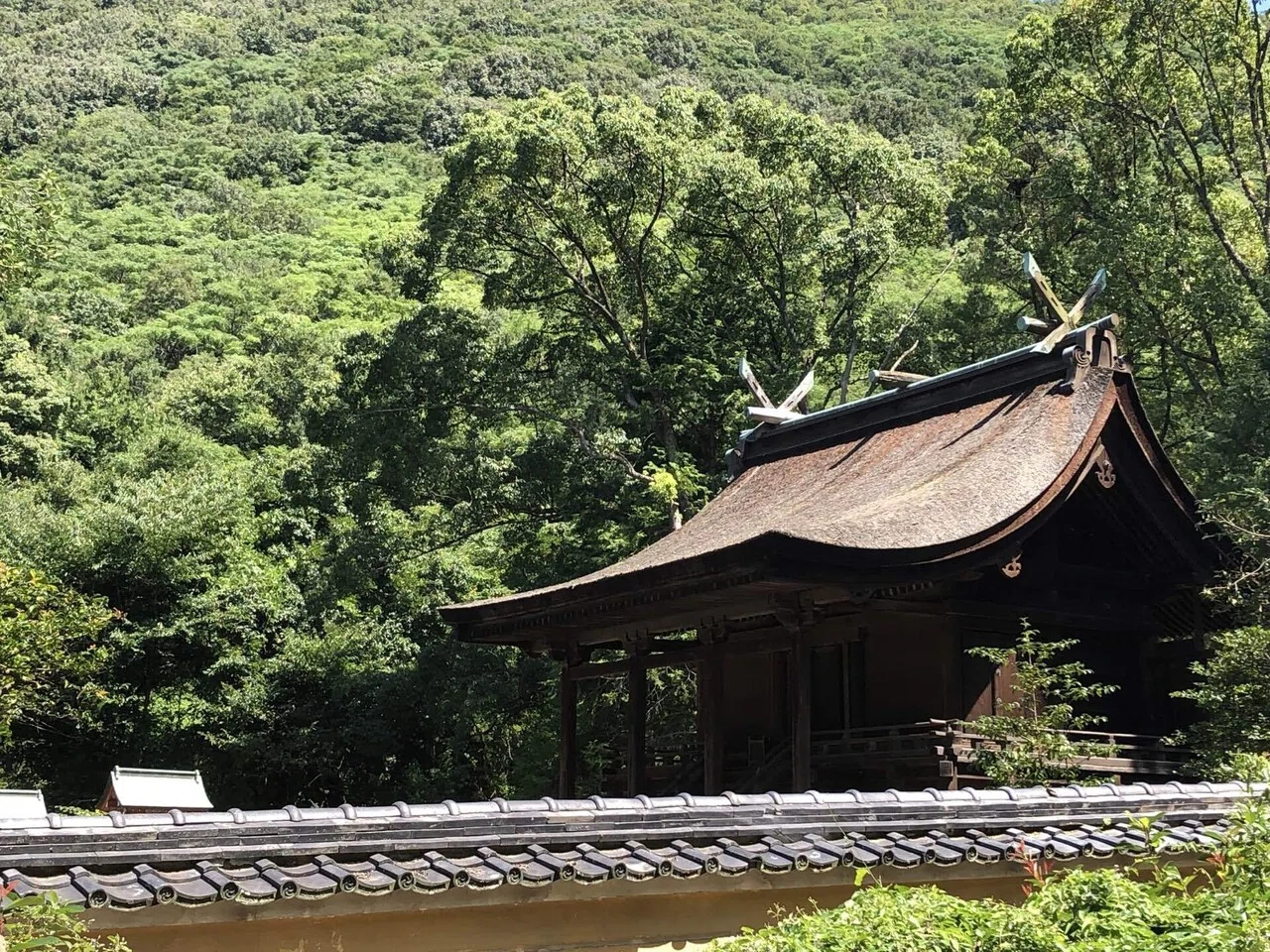 日本最古の神社建築「宇治上神社」｜建築文化発信/ FUKUMOTO