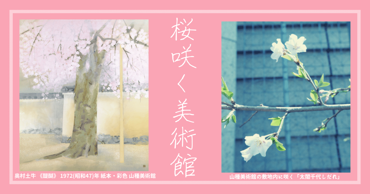 奥村土牛、【醍醐】、希少画集画より、状態良好、新品高級額装付 奥村土牛「醍醐」木版画 :: 絵画買取・販売 - シバヤマ