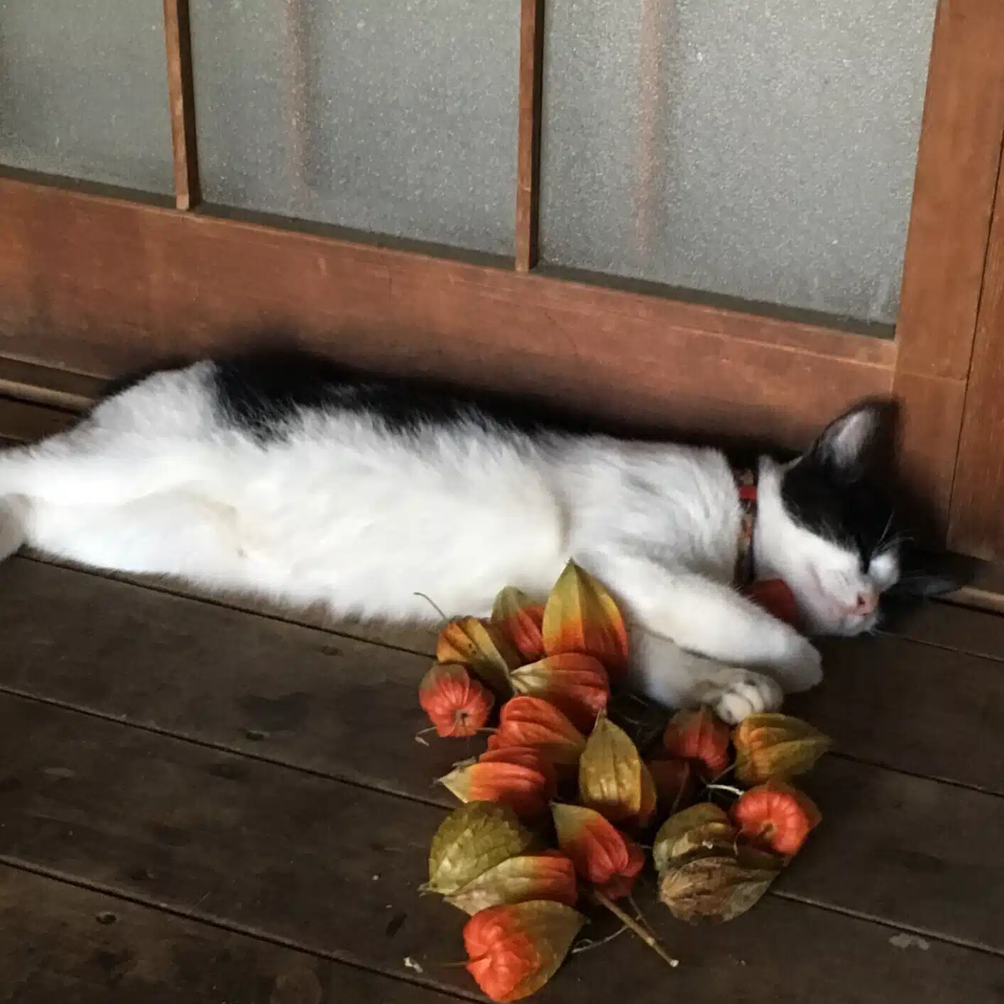 なべ鉄郎