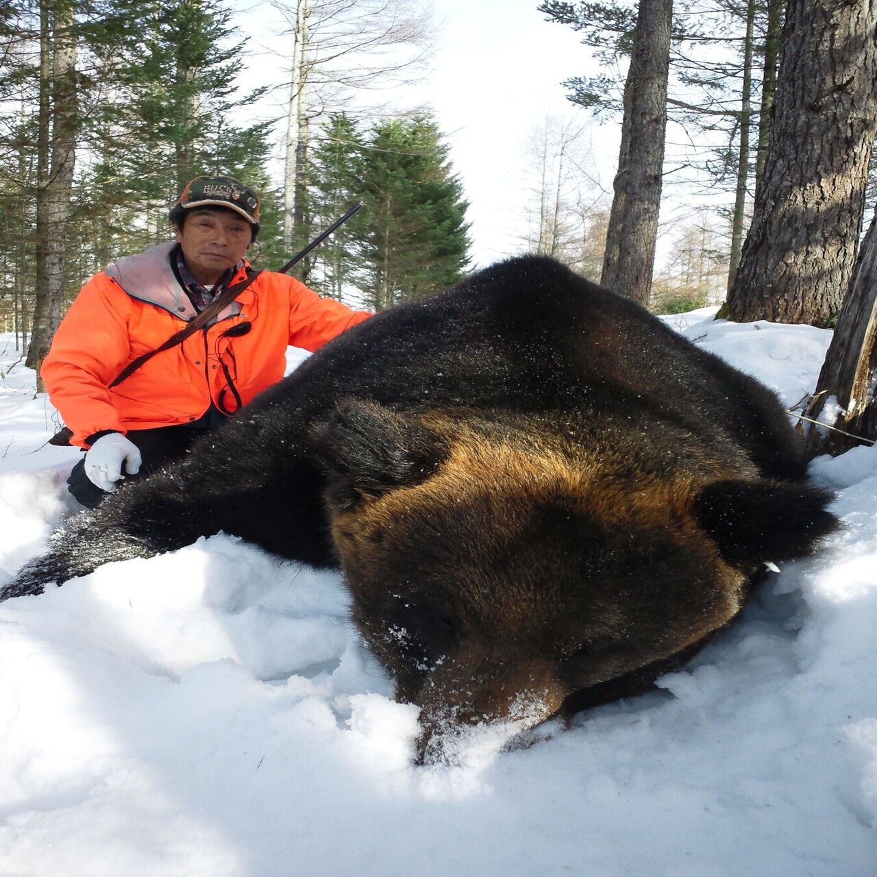 羆を撃つ 中 現役最強のハンター 伊藤秀倫 文藝春秋digital