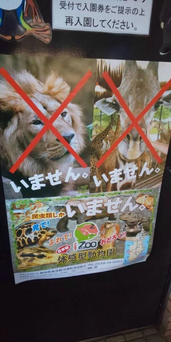 画像18