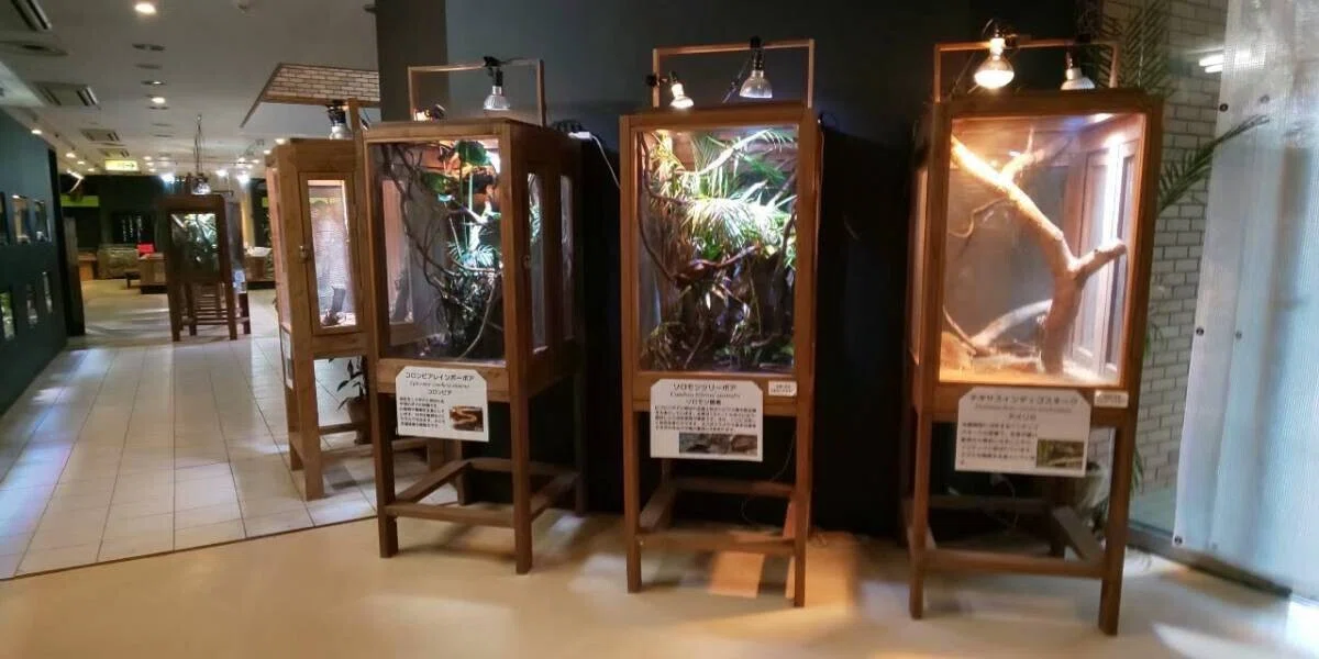 画像21