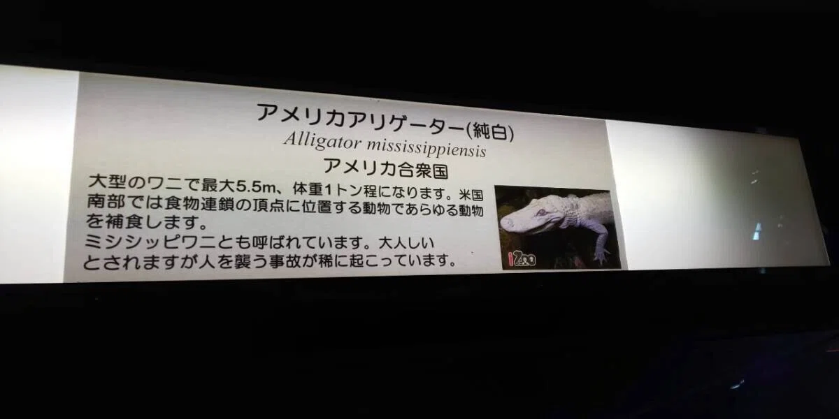 画像43