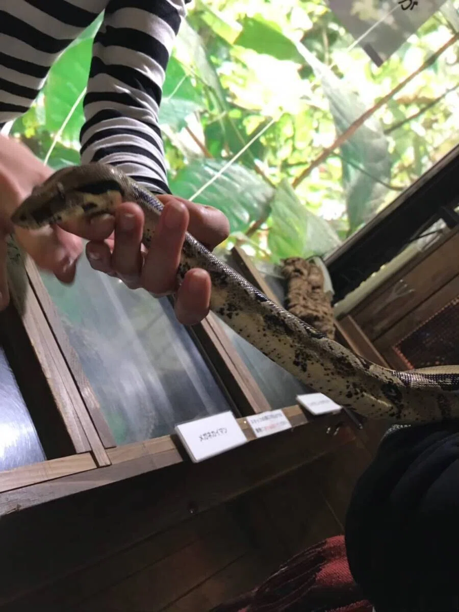 画像12