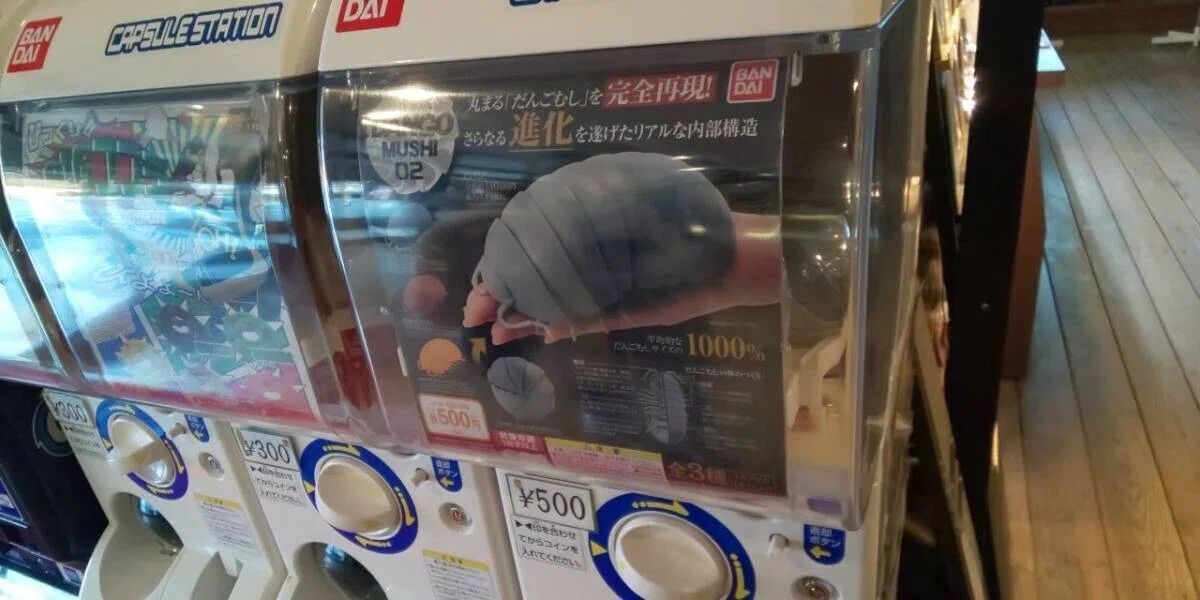 画像17
