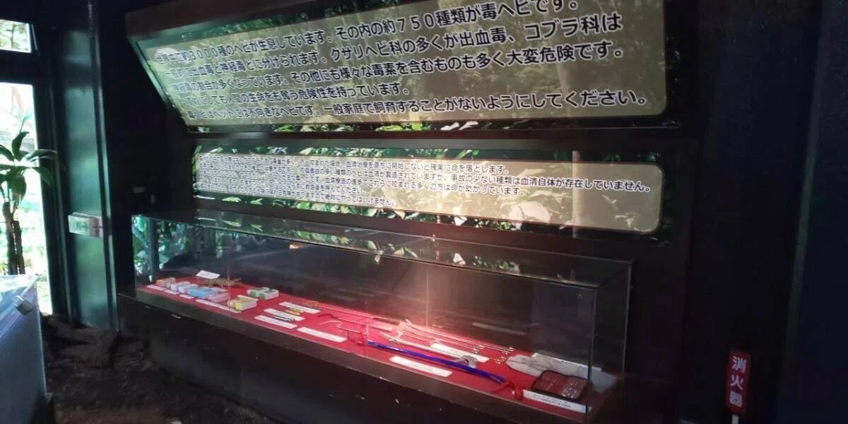 画像50