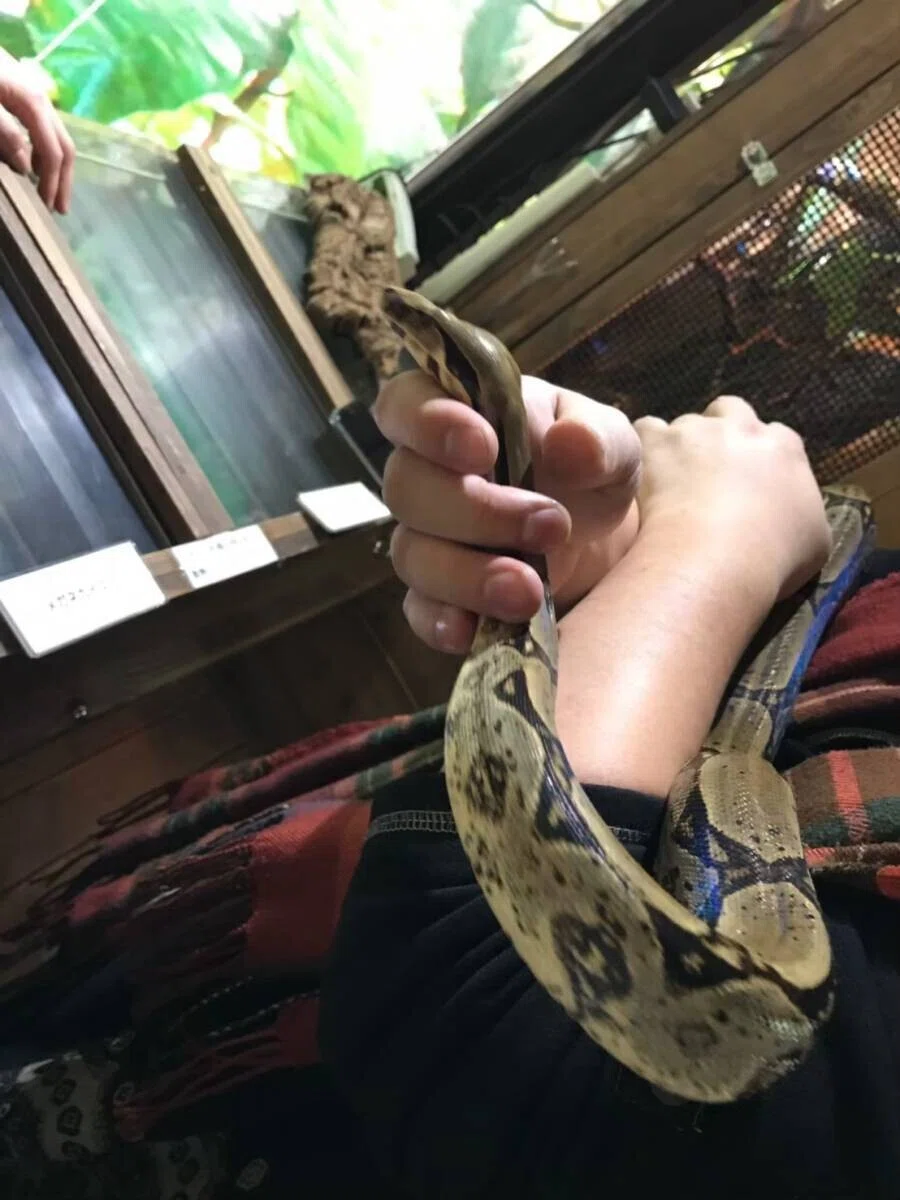 画像13