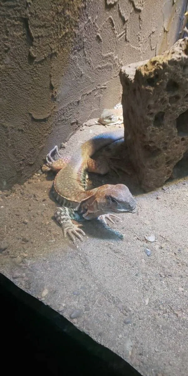 画像53