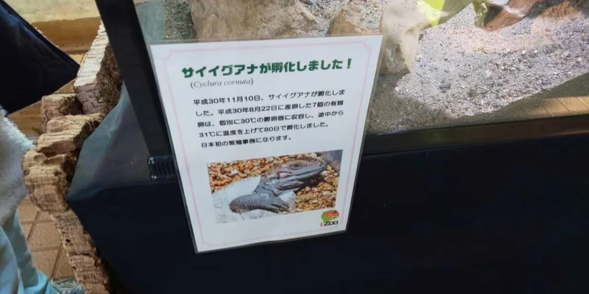 画像65