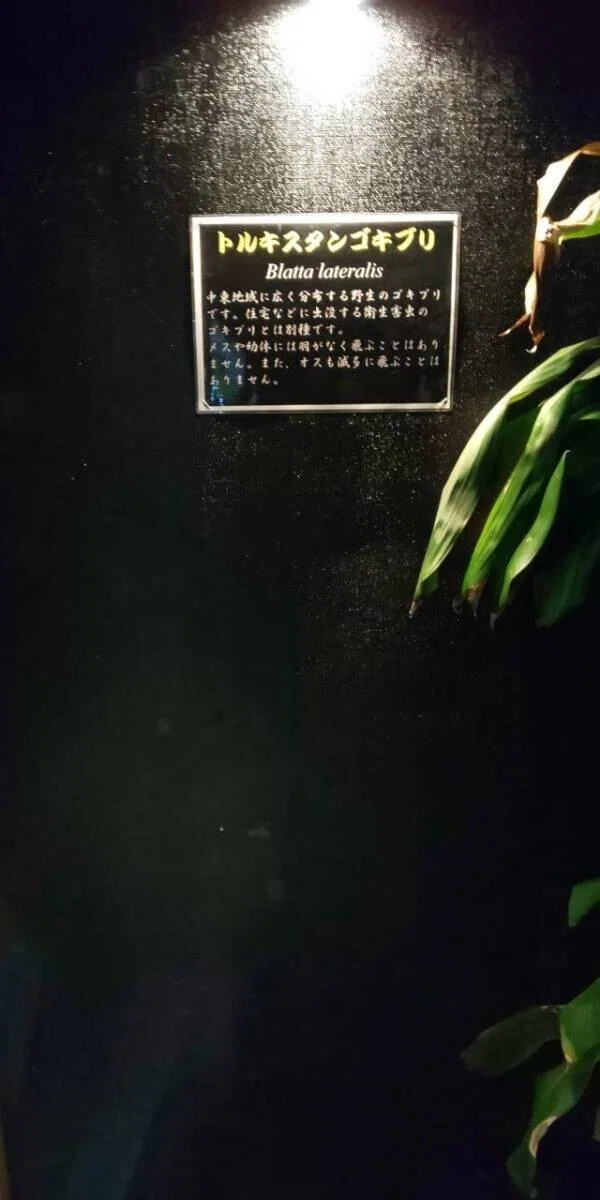 画像23