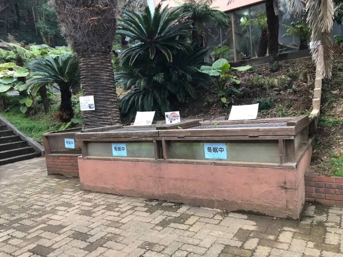 画像15
