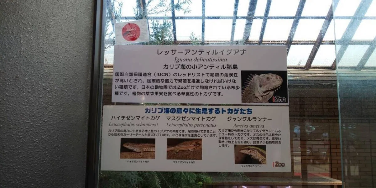 画像67
