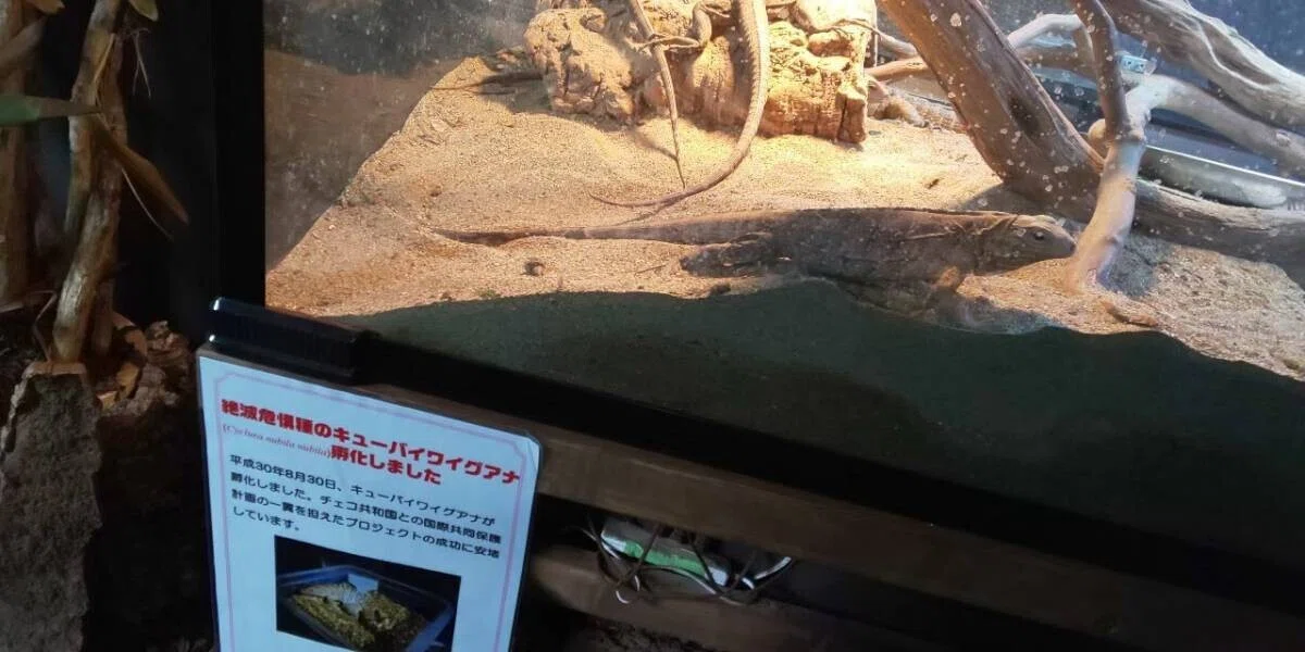 画像59