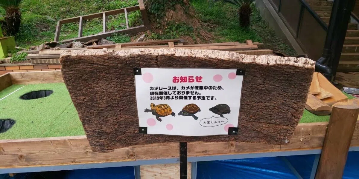 画像33