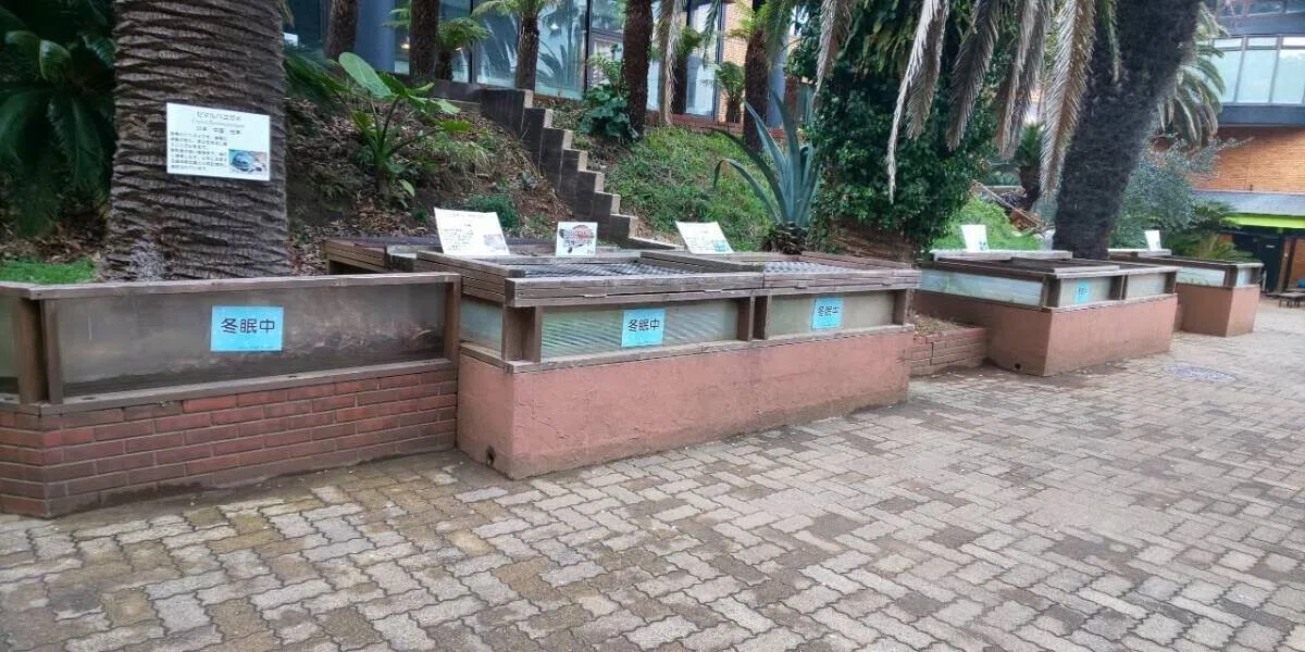 画像32